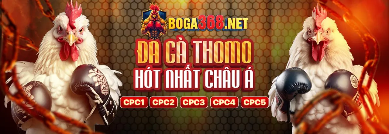Sân đấu đá gà kịch tính tại ft179